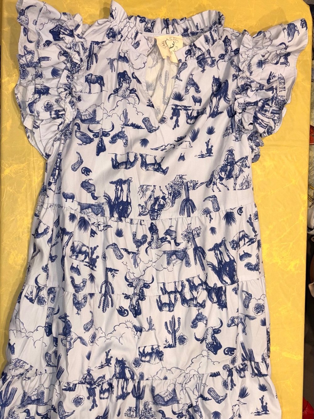 Woman’s Blue & White Western Print Ruffle Dress